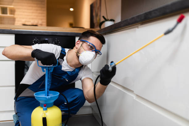 Best Pest Removal Services  in Luther, OK