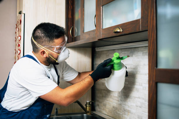 Best Local Pest Control Services  in Luther, OK
