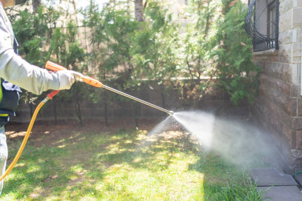 Best Exterminator Services  in Luther, OK
