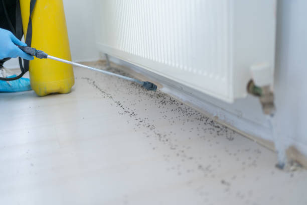 Pest Control Cost in Luther, OK