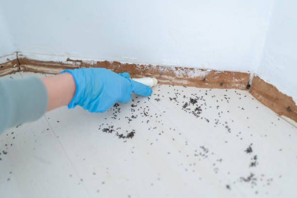 Best Best Pest Control Companies  in Luther, OK